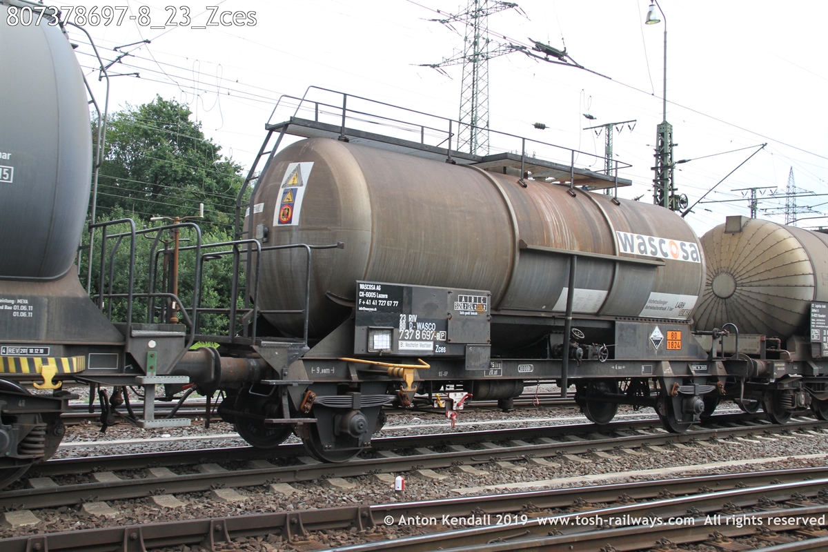 807378697-8_23_Zces.JPG